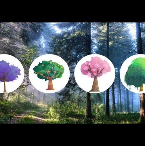 Кое от посочените дървета бихте избрали