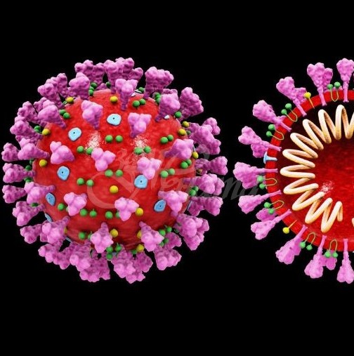Разбра се, че някои хора имат имунитет срещу коронавируса още от 2003 г. 