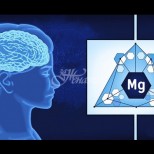Причини мозъкът ви да има спешна нужда от магнезий