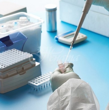 Колко всъщност струва един PCR тест и кои хора подлежат на безплатни?