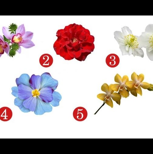 Изберете цвете и вижте отговора!