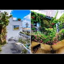 Оазис на балкона - красиви цветни идеи за отдих у дома (Снимки):