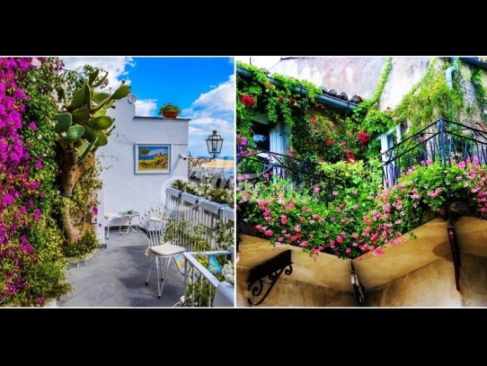 Оазис на балкона - красиви цветни идеи за отдих у дома (Снимки):