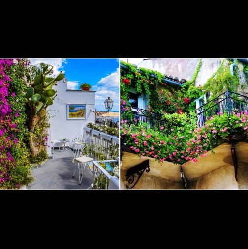 Градски оазис на балкона - 20 цветни идеи за отдих през лятото (Снимки):