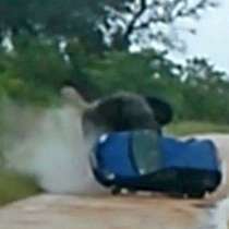 Потресаващ инцидент с ядосан слон, който смачка автомобил с туристи - видео