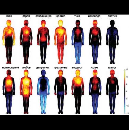 Вижте кои части от тялото и как реагират на различните емоции 