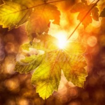 Есенното равноденствие през септември носи късмет и просперитет ако извършите специален ритуал