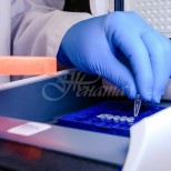 Ето начините да получите безплатен PCR тест