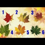 Изберете есенно листо и разберете какво ви съветва Съдбата: