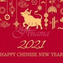Китайският знак на Белия бивол ще започне да променя живота ни още от 17 декември