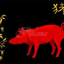 Ноември 2020 г. е месецът на Огненото прасе. Какво очаква зодиите на китайския хороскоп?