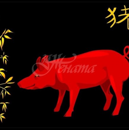 Ноември 2020 г. е месецът на Огненото прасе. Какво очаква зодиите на китайския хороскоп?