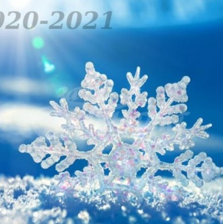 Каква ще бъде зимата 2020-2021-знаци