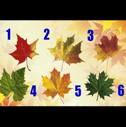 Изберете есенно листо и разберете какво ви съветва Съдбата: