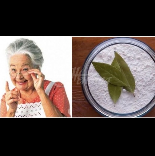 Ето защо хитрата баба тихомълком пъхва по 1 дафинов лист в брашното и ориза - действа като магия!