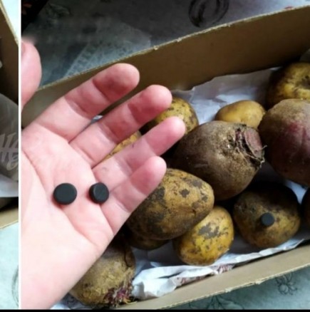 Тайната на свежите картофи е разкрита