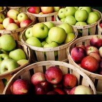 Кой цвят ябълка при какви болести помага: