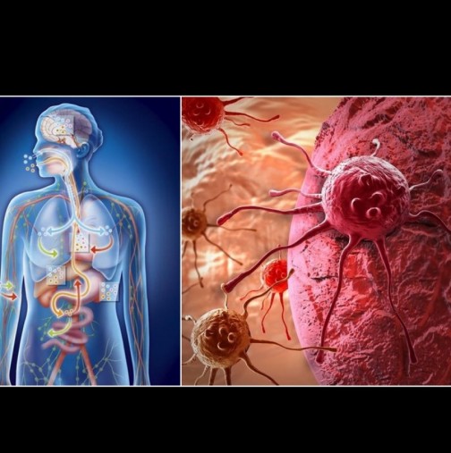 Всеки от нас носи ракови клетки в тялото си - ето как да им попречим да се изродят и да ни убият: