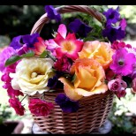 Тези цветя носят лоша поличба - никога не ги подарявайте на близките си!