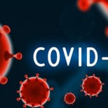  Вече има нова мутация на коронавируса 