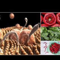 Тялото на всеки трети човек гъмжи от паразити - 7 растителни храни, които ги убиват и чистят червата: