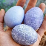 Натурално боядисване на яйца без химикали, станаха толкова красиви, че не мога да повярвам