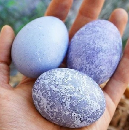 Натурално боядисване на яйца без химикали, станаха толкова красиви, че не мога да повярвам