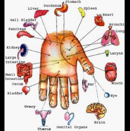 Вижте как да масажирате дланите си, за да повлияете различни органи от тялото