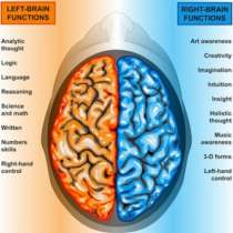 Коя страна от мозъка ви е доминираща? Проверете тук!