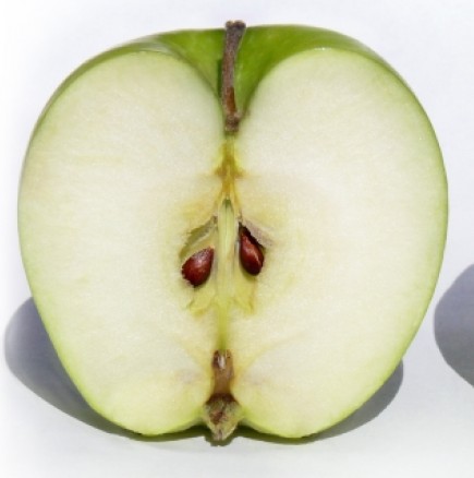 Знаехте ли, че семките на ябълката са отровни?