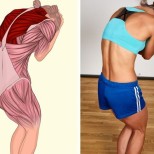 18 упражнения, които показват точно кои мускули се разтягат (снимки)