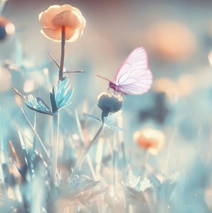 Седмичен хороскоп от 17 до 23 май 2021 г.: РАК, приятни изненади! ВОДОЛЕЙ, важно е да влезете в дълбочината на душата си 