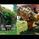 Цветни идеи за двора и градината (Снимки):