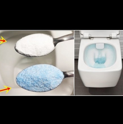 Ето какво слагат в тоалетните по хотелите, за да блестят от чистота - по-евтино от препарат!