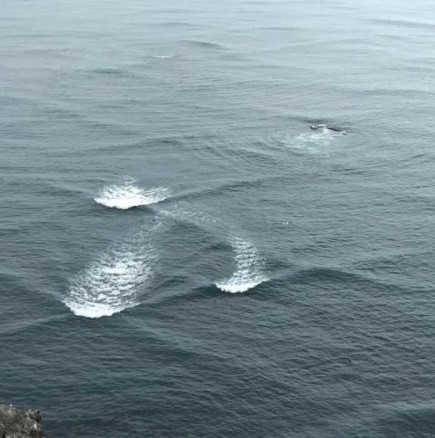 Ако забележите такива необичайни вълни, гледайте да стоите далече-Снимки