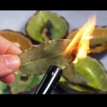 Защо да изгориш шепа дафинови листа у дома - трик, стар като света!