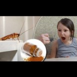 Хлебарките обръщат корема при вида на тази подправка - просто наръсете и няма вече да ги видите у дома!