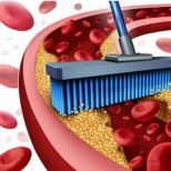 Билки за почистване на кръвоносните съдове и нормализиране на кръвното налягане-Лечебни свойства и рецепти