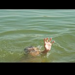 Драма на Иракли! 8-годишно дете потъна в морето пред очите на майка си - ето продължението:
