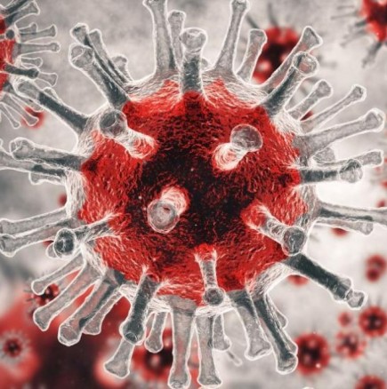 Как да изградим силен имунитет през есента, за да се предпазим от вируса