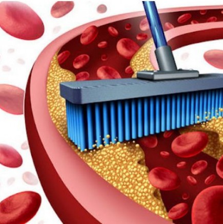Билки за почистване на кръвоносните съдове и нормализиране на кръвното налягане-Лечебни свойства и рецепти