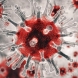 Как да изградим силен имунитет през есента, за да се предпазим от вируса