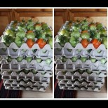 Дойде ли септември, слагам доматите в картонени кутии за яйца - перфектният трик от време оно, ще го оцените: