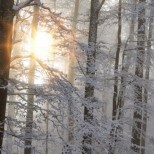 Първи сняг в София и оранжев код за 11 области на България