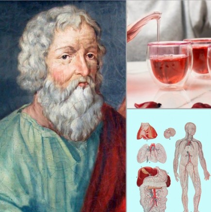 Чували ли сте за Напитката на Хипократ? Древен лек за 100 болести: