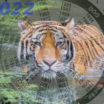 Зодиите късметлии на 2022 по източния хороскоп-Успехи за Тигър и Плъх, промени за Змия