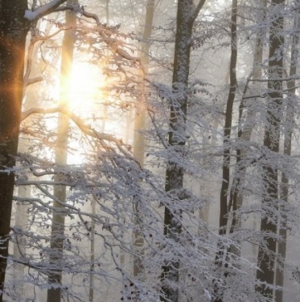 Първи сняг в София и оранжев код за 11 области на България