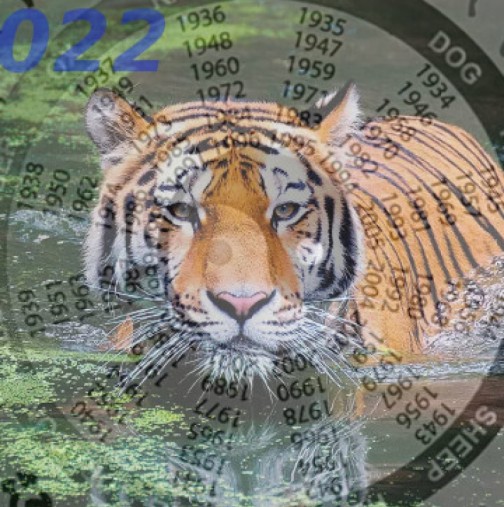 Зодиите късметлии на 2022 по източния хороскоп-Успехи за Тигър и Плъх, промени за Змия