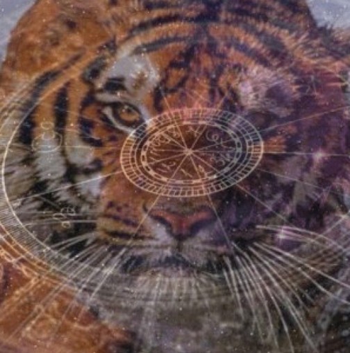 Хороскоп за година на тигъра 2022-Тигърът ще помогне на Водолея да изпълни всичките си мечти, Козирог-Много благоприятно време