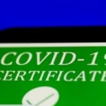 Добра новина за преболедувалите ковид два пъти и зелените сертификати